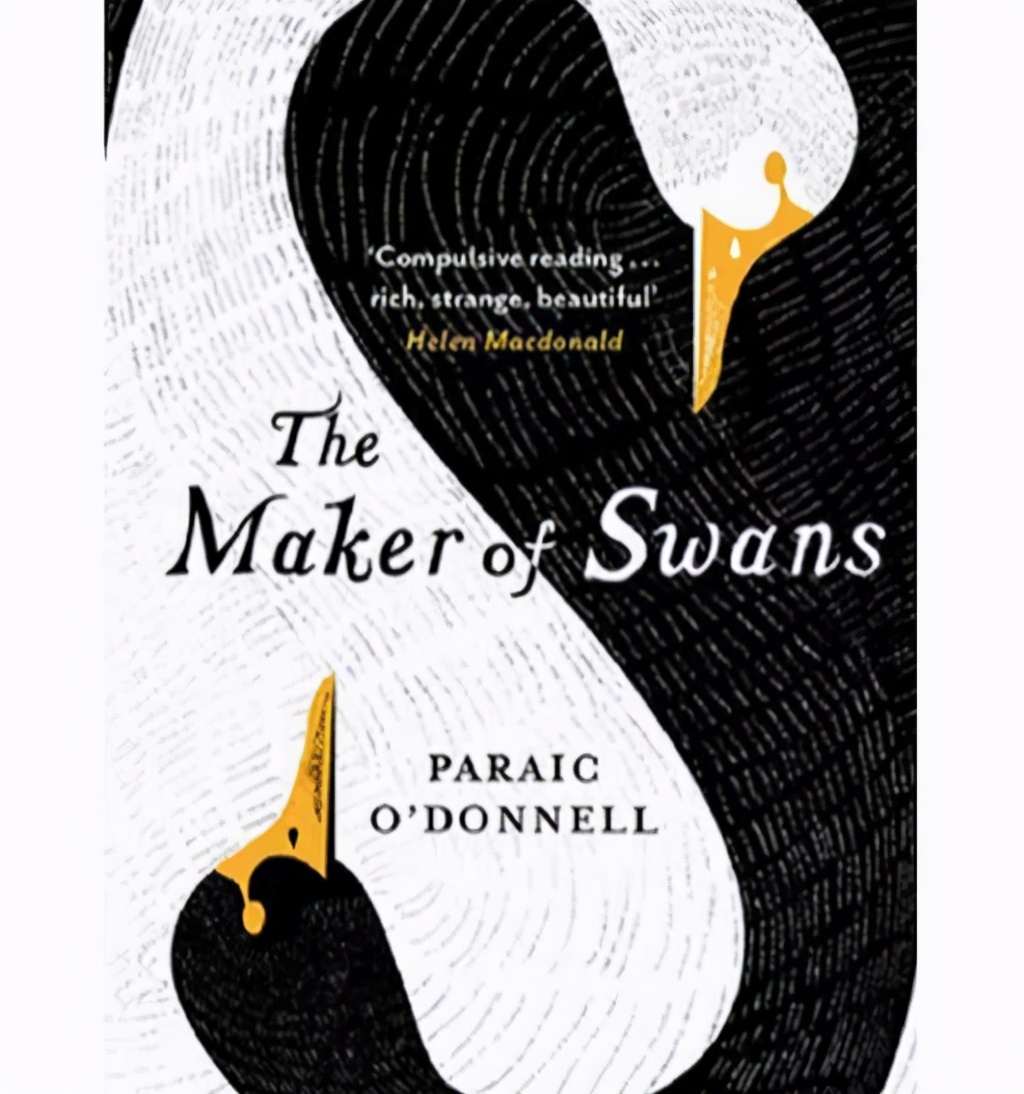 平面设计十大构成法则,平面构成设计