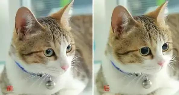 美图手机进入恢复模式怎么退出来,美图手机破产了吗