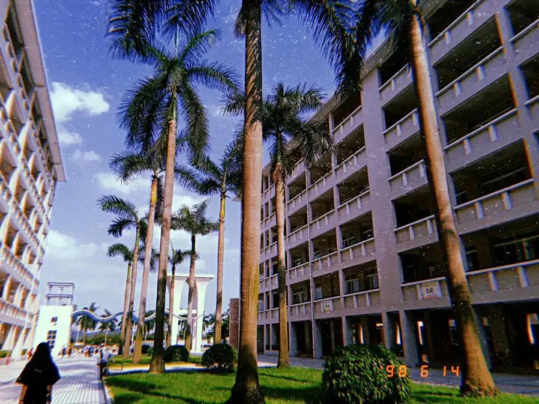 东莞市虎门外语学校中考喜报,东莞虎门外语学校2023高考喜报