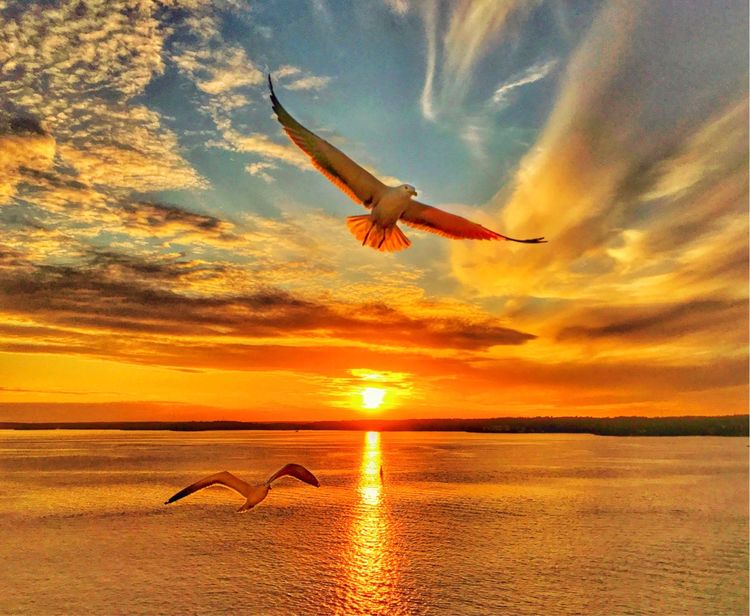 早晨和黄昏时段，手机摄影佳作赏析