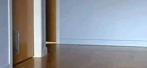 猫咪为什么滑步,猫咪走路后腿打滑什么原因