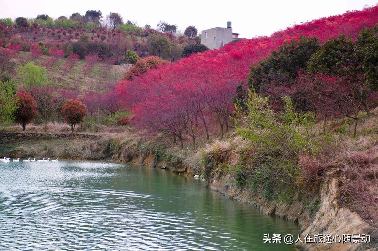 杭州市余杭区景点规划,杭州市余杭区旅游景点大全