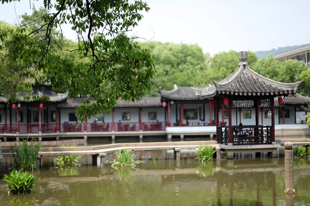 离上海仅1小时，这3座小众安静的江南名园，可惜大多数都没听过！