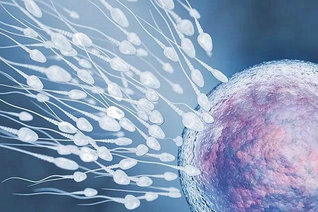 为何女人一碰就“怀孕”？大多因她们身上这些特特征，看看有你吗