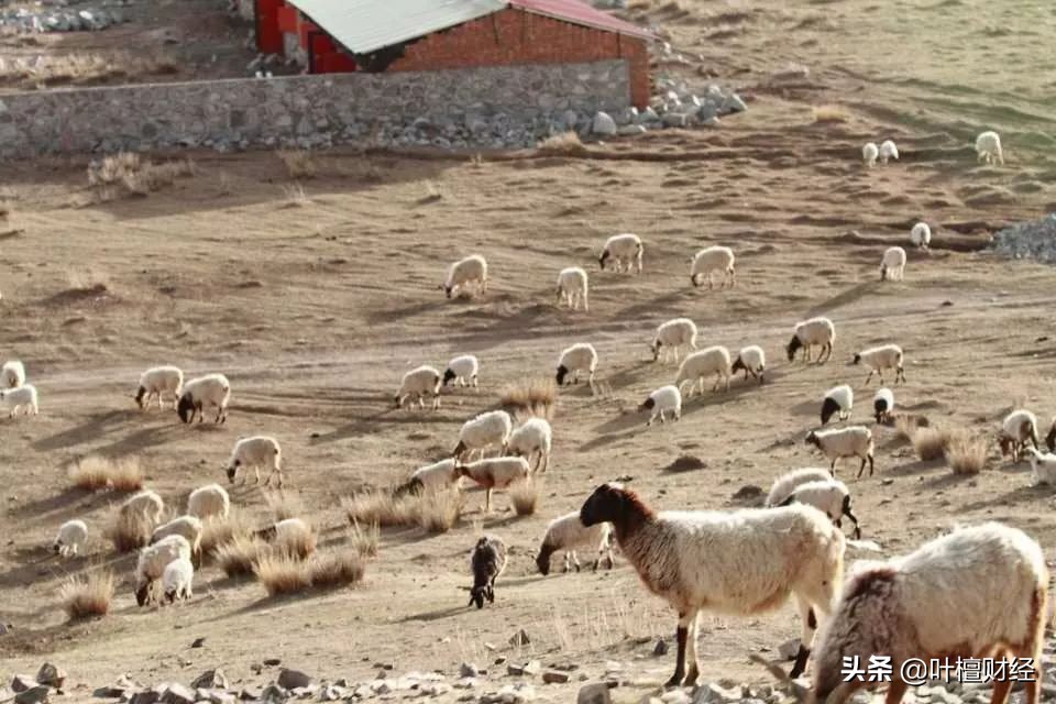 打工皇帝唐骏最后的结局,打工皇帝唐骏最后怎么样了