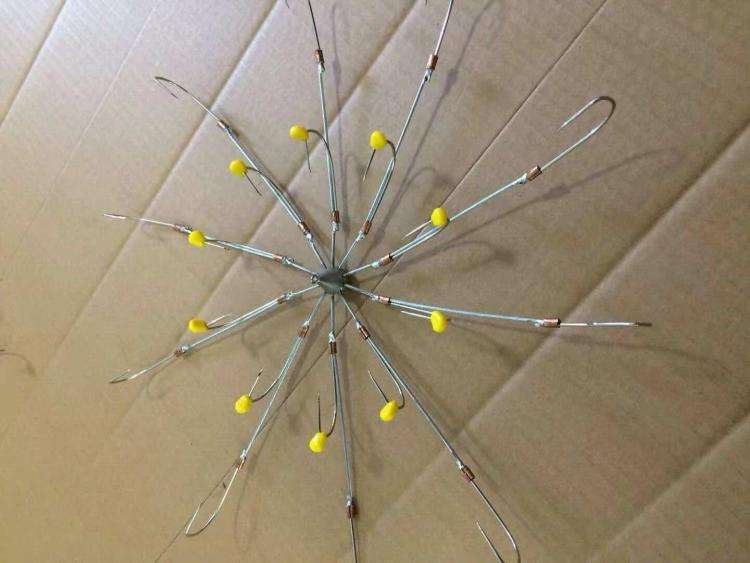 每天百斤鱼获的秘密，牵扯出锚鱼者极力隐藏的“血腥杀戮”