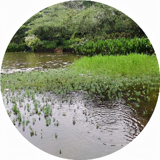 普通人如何练习成高手,普通人成为高手的6个步骤