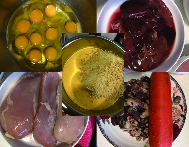 自制狗粮没有面粉怎么办,自制狗粮为什么不用白面