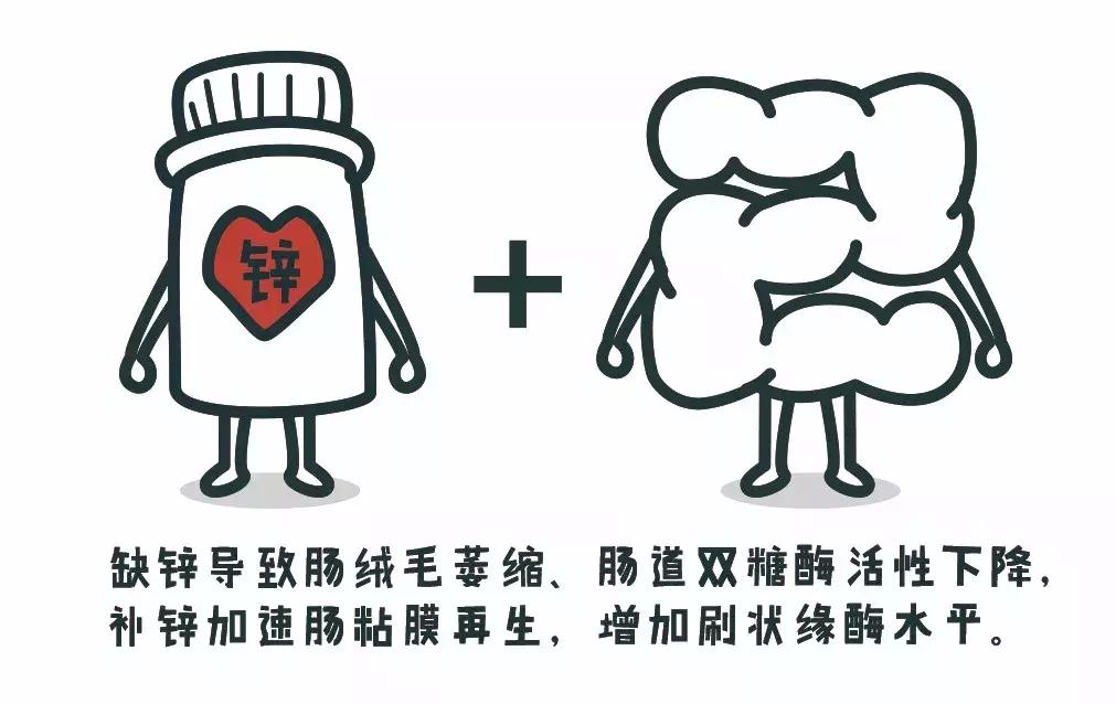 病毒性腹泻和细菌性腹泻的用药,儿童腹泻的家庭护理