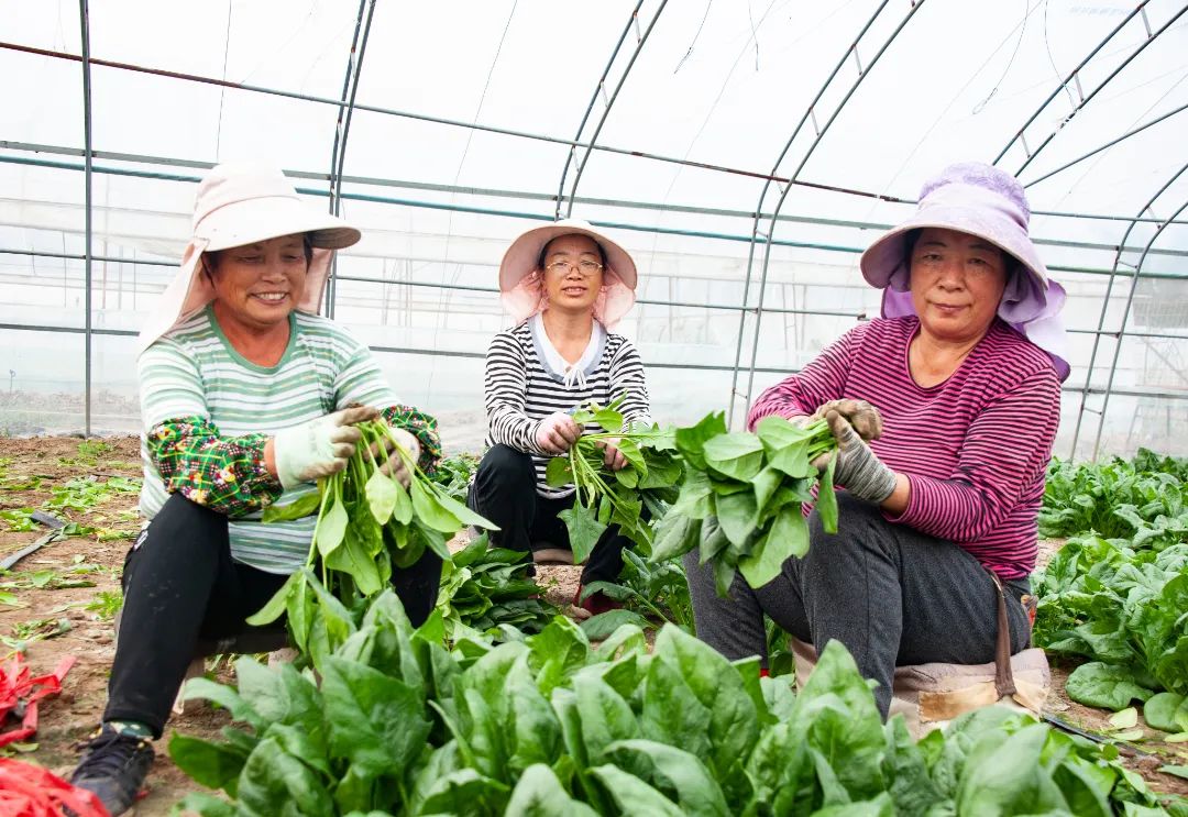 灏忕Н鍒嗗ぇ鑳介噺,灏忕Н鍒嗘縺娲诲ぇ鑳介噺