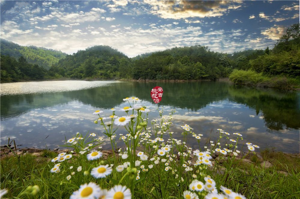 安吉绿城桃花源,安吉绿城桃花源中式合院