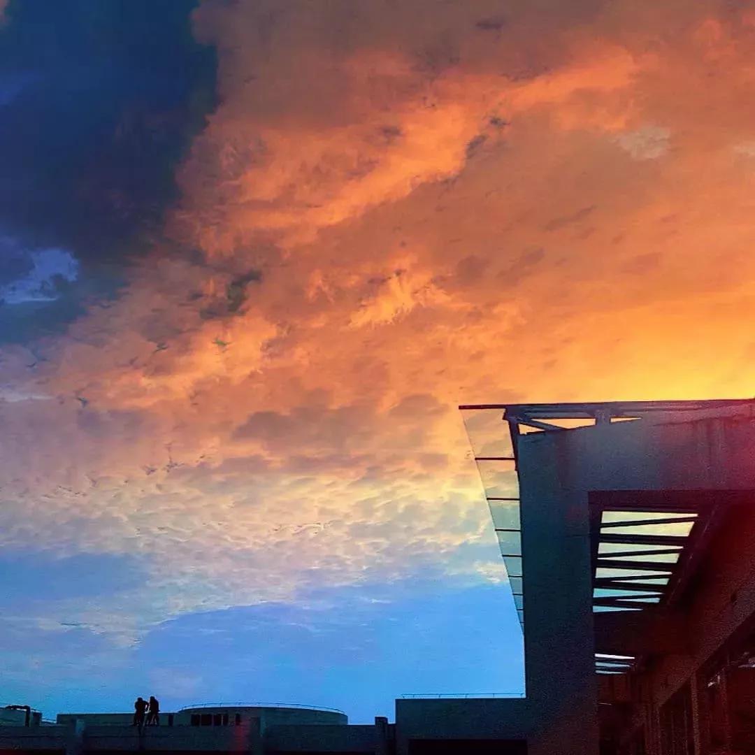 鑻忓窞澶у鏂囨瀛﹂櫌浠嬬粛,鑻忓窞澶у鏂囨瀛﹂櫌鍥剧墖