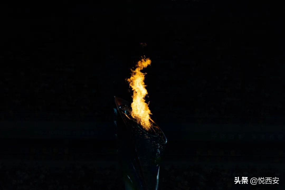 庆祝第十四届全运会圆满结束,第十四届全运会男子100米决赛