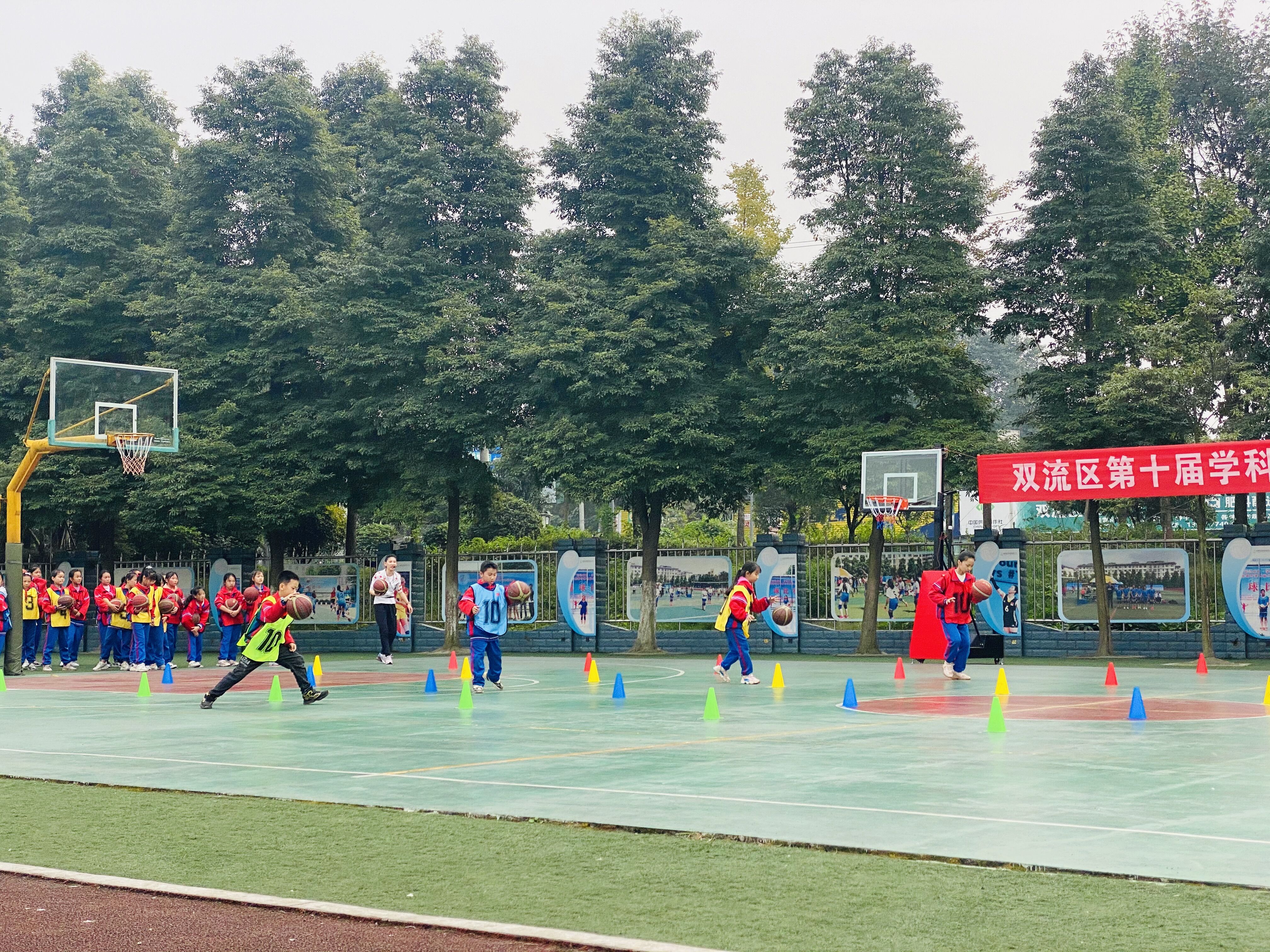 体育展风采,体育课堂大比武精品展示课