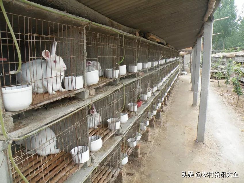 农村五个适合穷人创业项目有哪些,在农村创业适合做什么生意项目