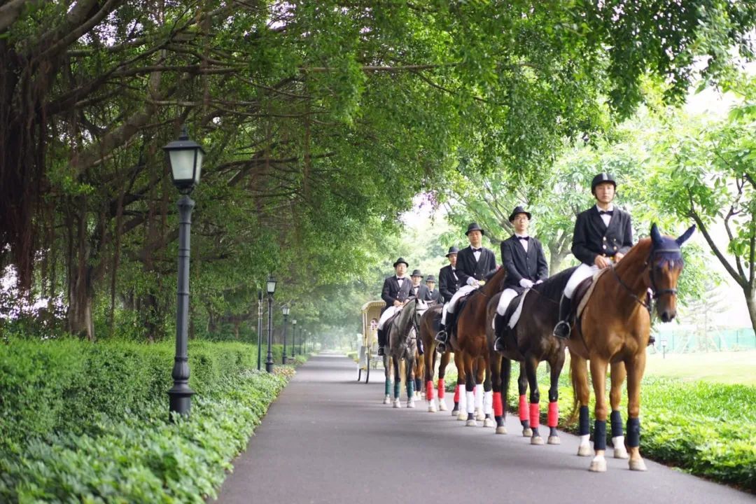 住在城央、睡在岛上、憩在庄园，这样的美梦只在广州有