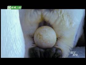 口碑炸裂宝藏纪录片推荐,宇宙生命探索纪录片