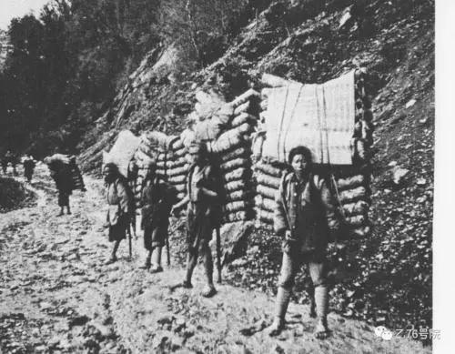 最惨茶厂：高频轰炸中坚持生产茶叶