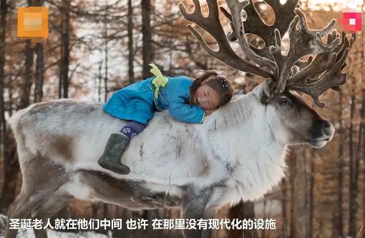 奶奶用大鹅玩娃,奶奶用大白鹅带娃