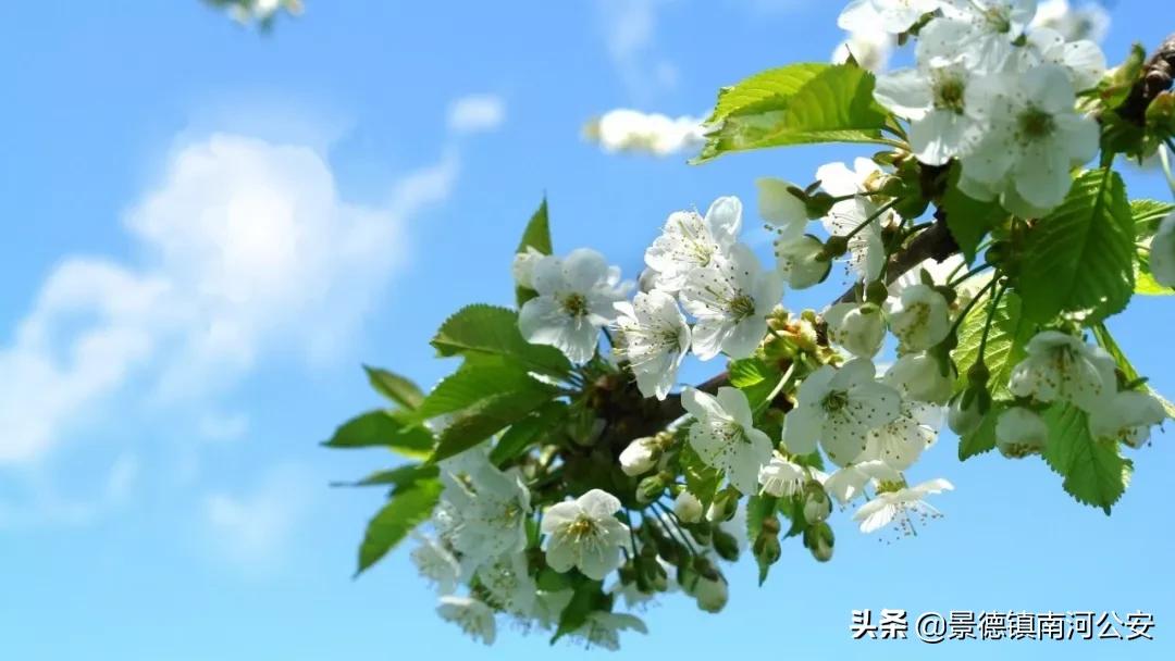 愿你越来越好的诗句,愿你不负时光的经典诗词