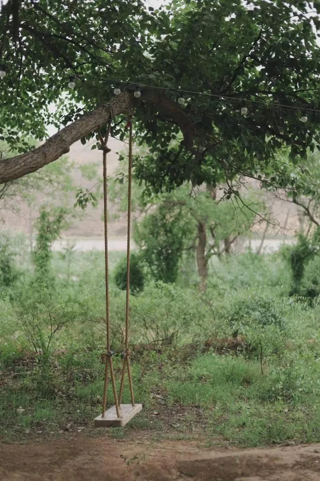 国内必拍的10家最美网红民宿,适合拍照的网红民宿