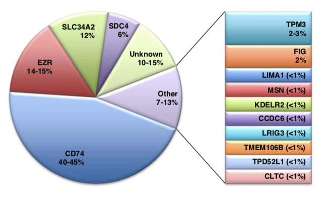 ros1基因融合治疗肺癌,ros1融合型肺癌