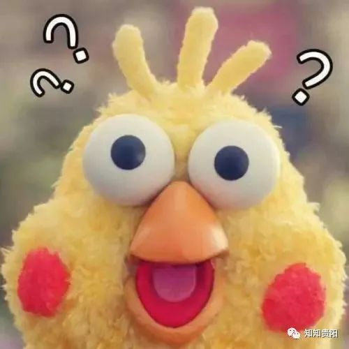 黔灵山公园熊猫馆五一节,贵阳市黔灵山公园熊猫馆开放时间