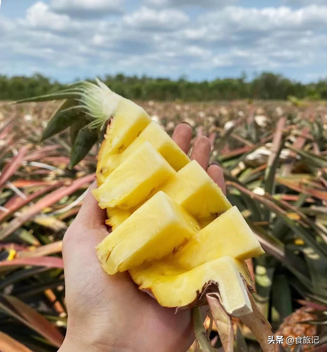凤梨都不需要挑刺吗,凤梨不用挑刺吗