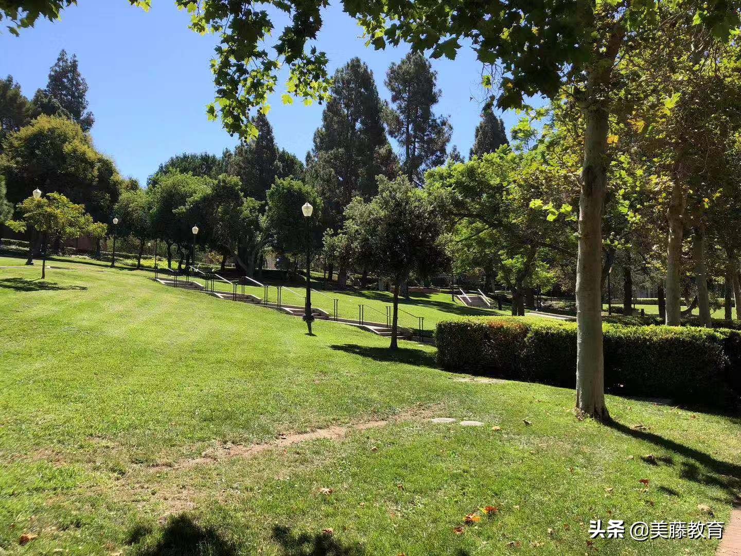 圣路易斯华盛顿大学在中国的地位,华盛顿圣路易斯大学最新美国排名