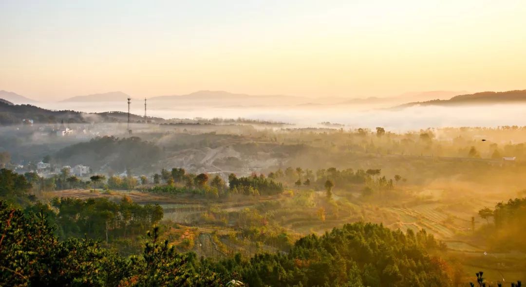 安徽省内旅游景点推荐自驾游,安徽的名胜古迹和旅游景点有哪些