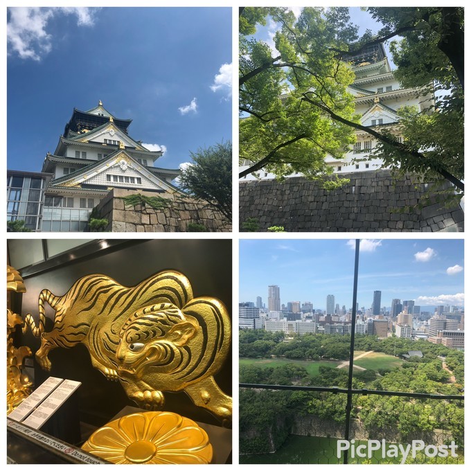 箱根到奈良如何坐车,日本东京京都箱根大阪奈良8日游