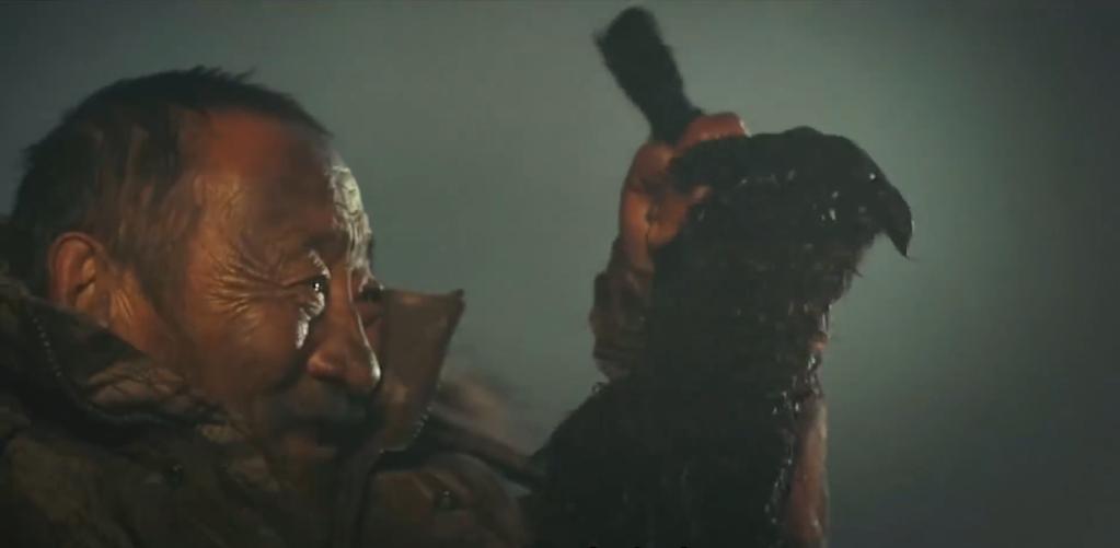 75岁老头被狼群追杀徒手大战狼群,放羊老汉遭遇狼群