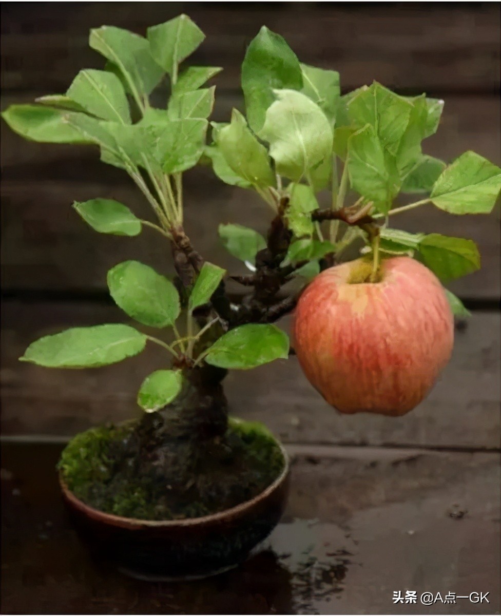 可爱小姐姐搞笑动图图片,搞笑动图小姐姐你引起了我的注意