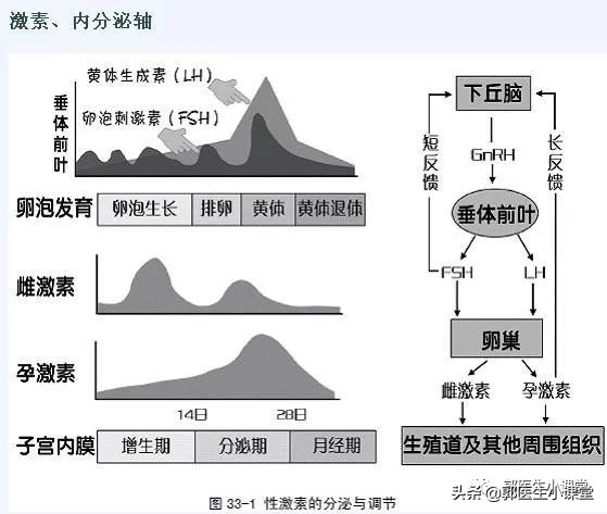 手脚发凉、月经不调、痛经，这些跟你吃凉的有关吗？