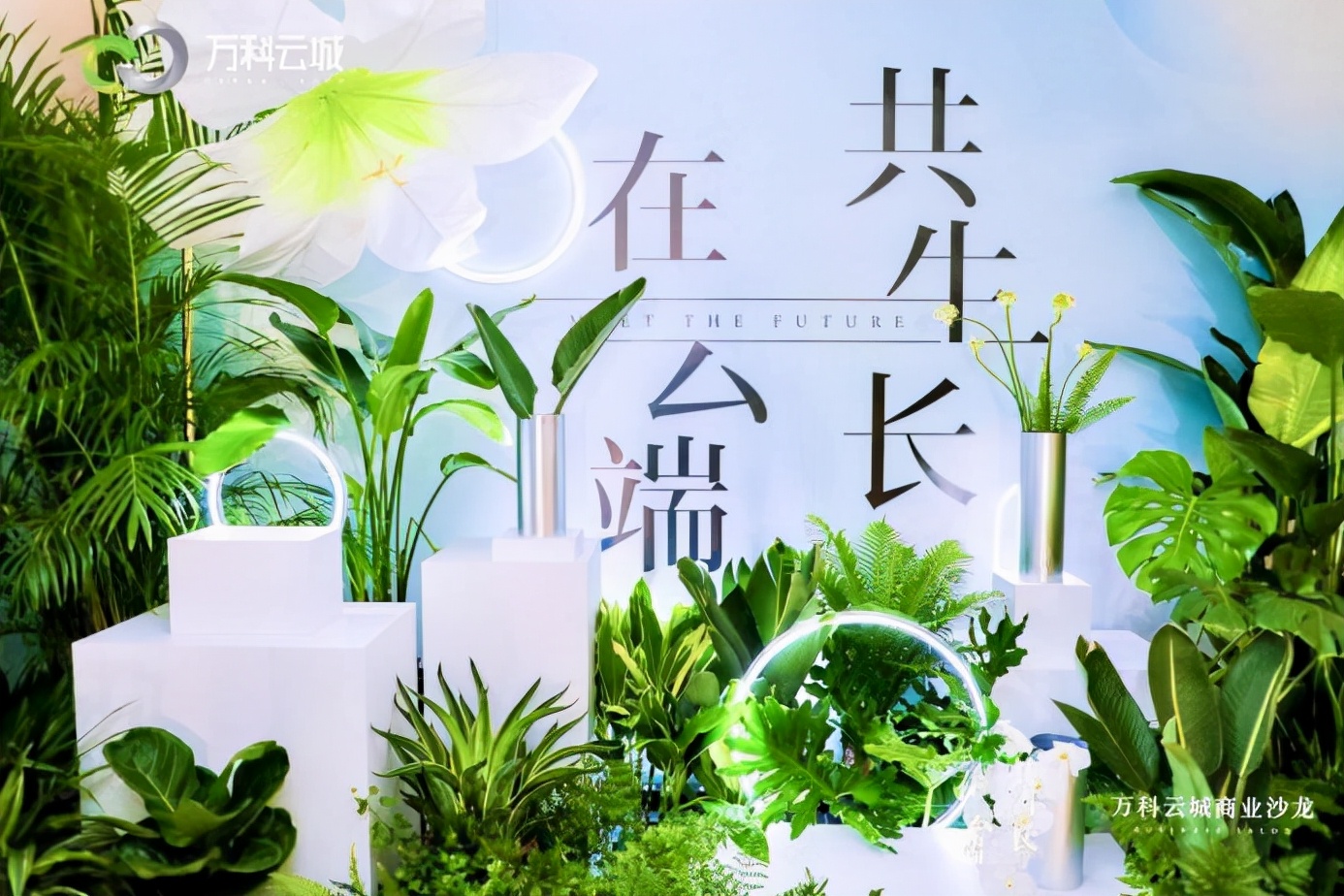 万科云城商业,万科云城商业案例