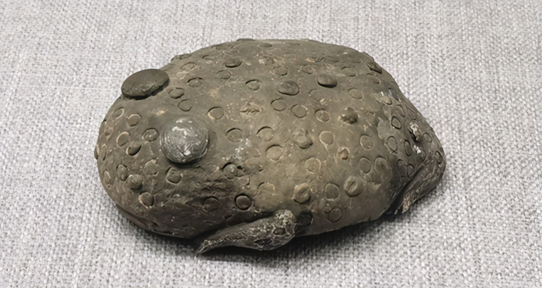 陕西出土夏朝青铜器的遗址,文物出土佐证夏朝文化