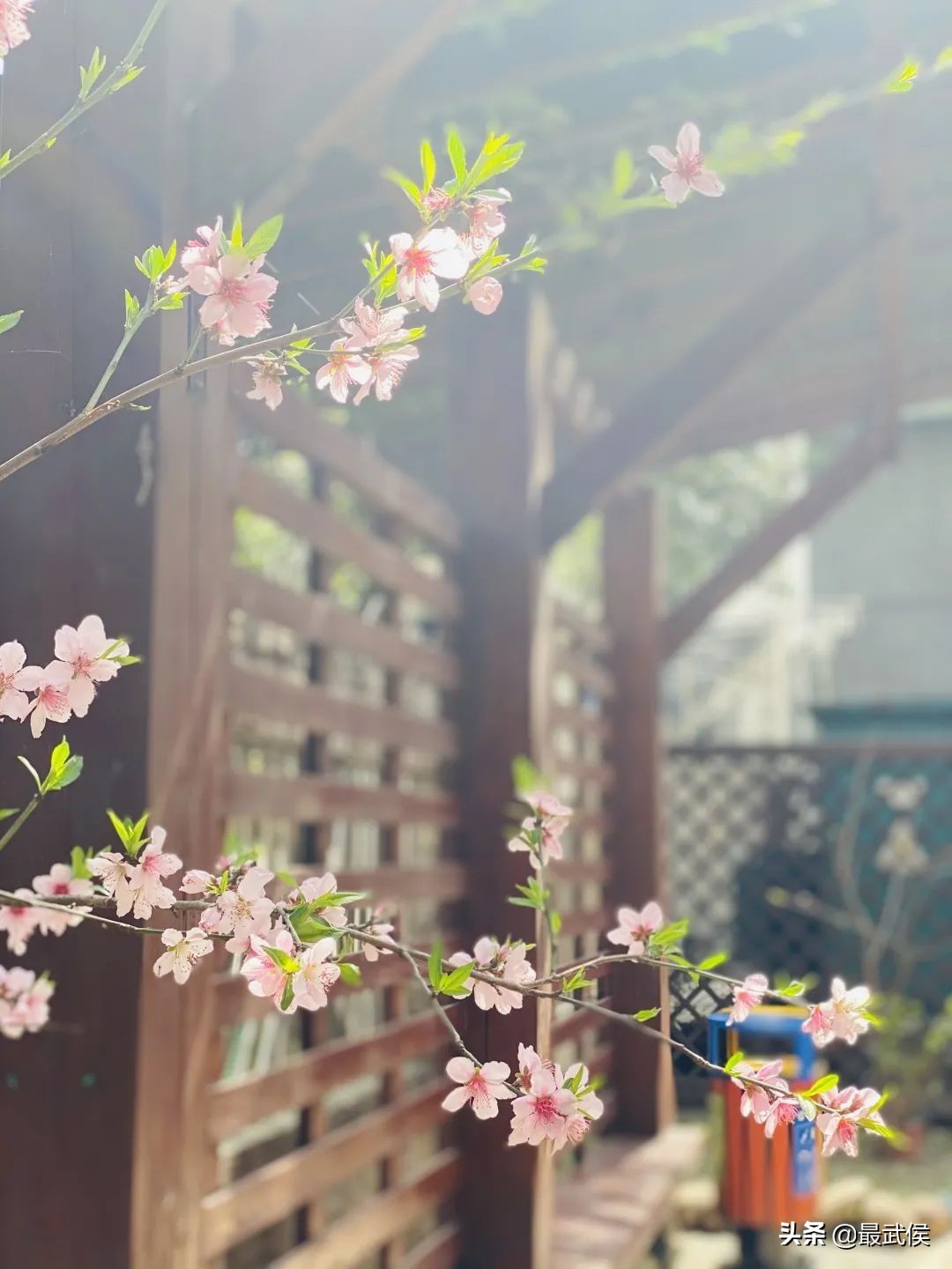 孩子开学生活步入正轨视频,开学后的校园生活