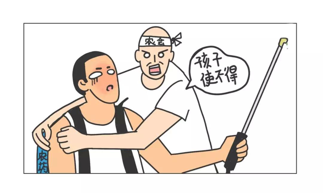 台湾宝岛茶,台湾最好的茶是哪个