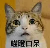 弃猫效应会不会弄巧成拙,弃猫效应有必要吗