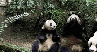 江北二仙桥,一心桥二仙桥