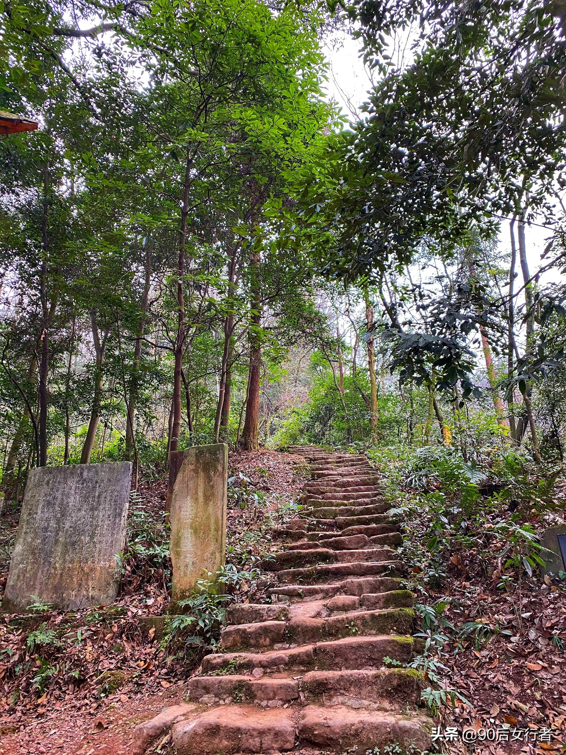 青城山隐居84岁道长教游客太极,拜会青城山