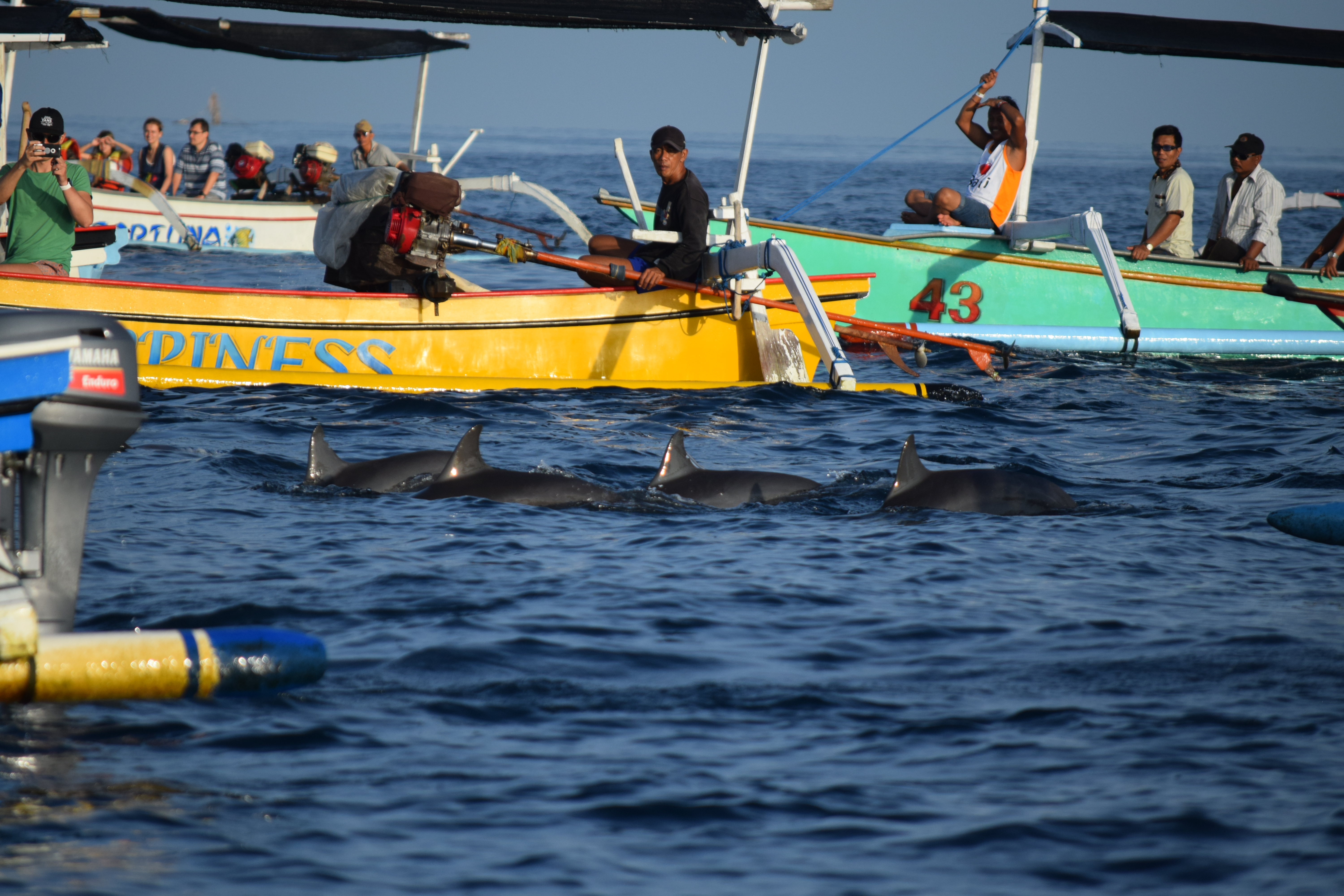玩转巴厘岛攻略大全,巴厘岛值得去和不值得去