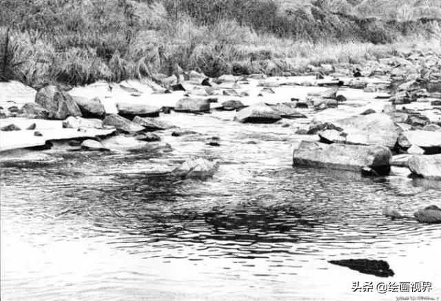 不会画就别学,不会画素描写生