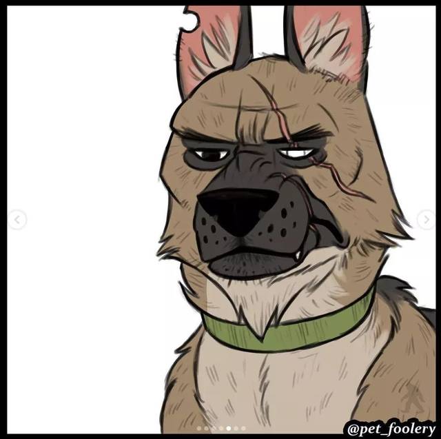 这反差萌也太有爱了，实力宠喵没商量！