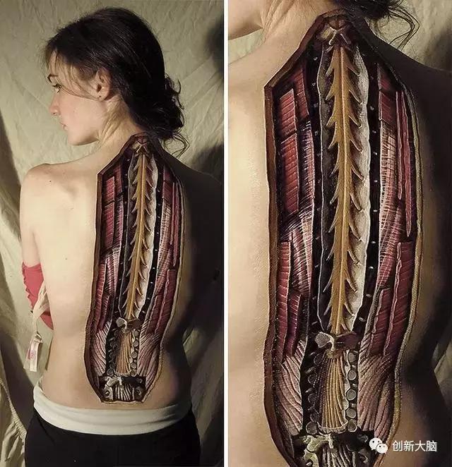 人体解剖创意图画介绍,人体解剖图创意画简介