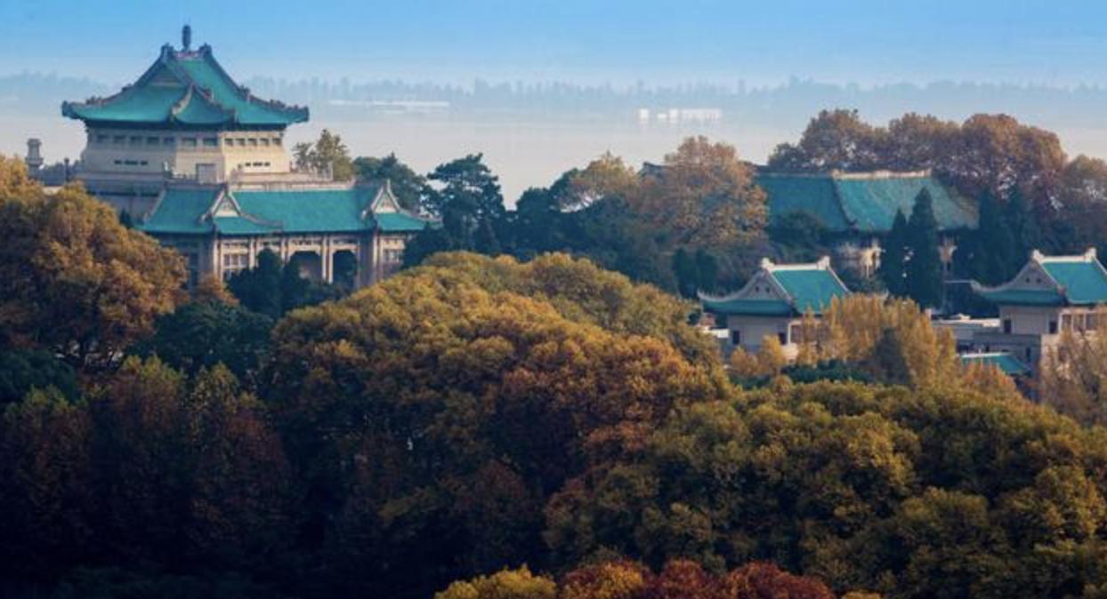 武汉未来发展中国第5大城市,武汉未来会成为中国最重要的城市