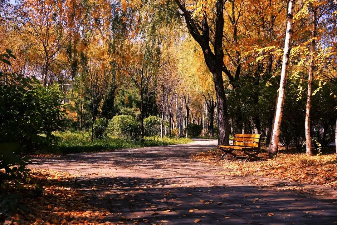 辽宁省普通高等院校（二十五）沈阳工程学院