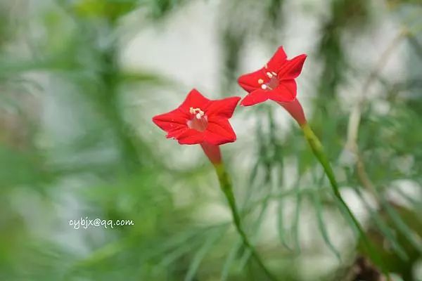 8个细节告诉你身边的人谁最靠谱,记住这八点看出身边人谁最靠谱