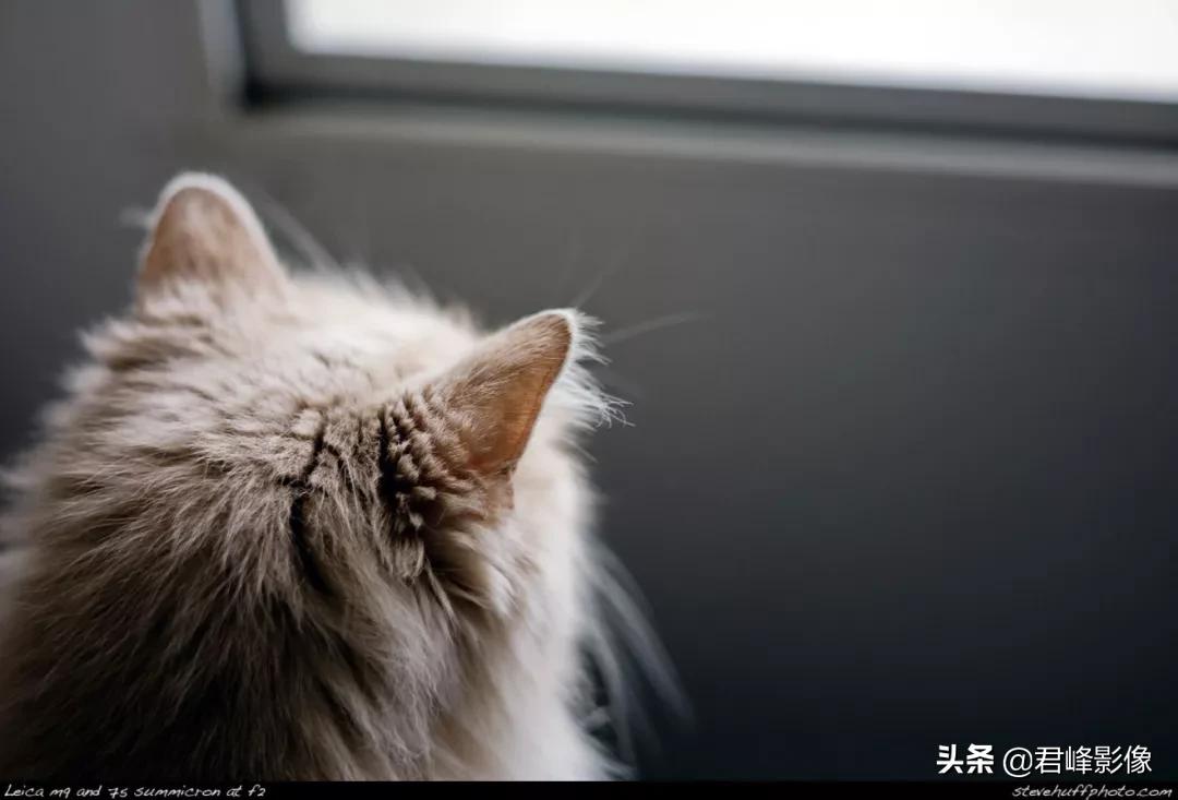 那些被忽略的美,那些被忽略的风景