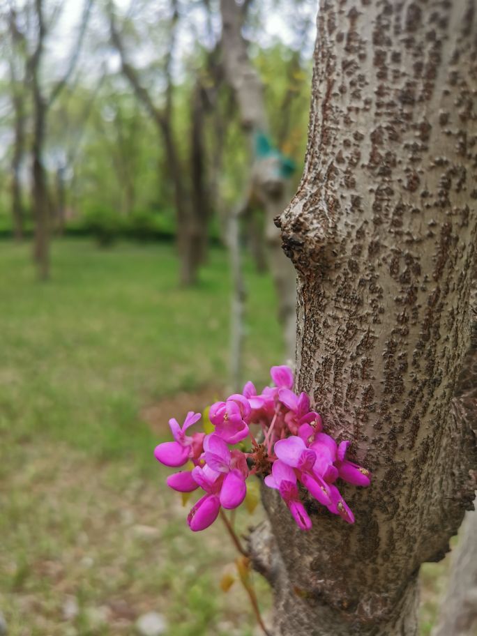 济南地铁出行哪里好玩,济南地铁2号线宜家是哪一站